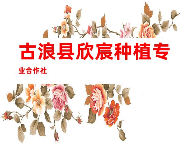 古浪县欣宸种植专业合作社