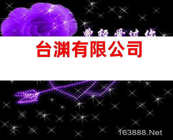台渊有限公司