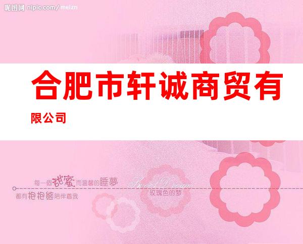 合肥市轩诚商贸有限公司