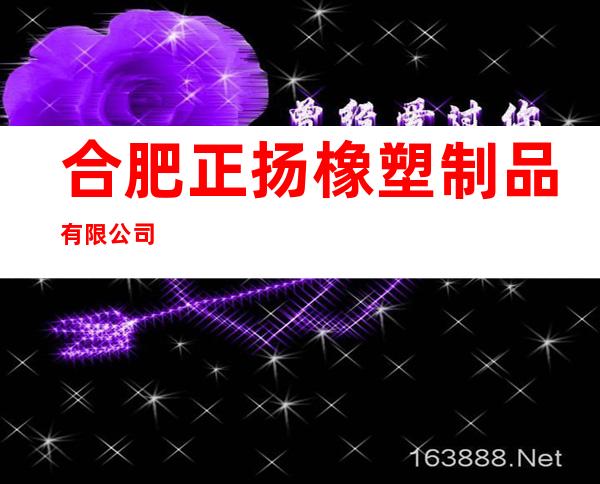 合肥正扬橡塑制品有限公司