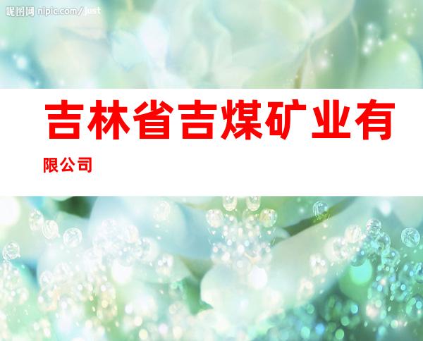 吉林省吉煤矿业有限公司