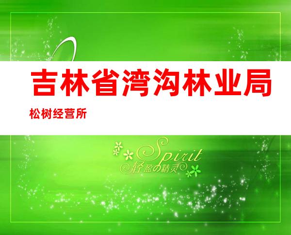 吉林省湾沟林业局松树经营所
