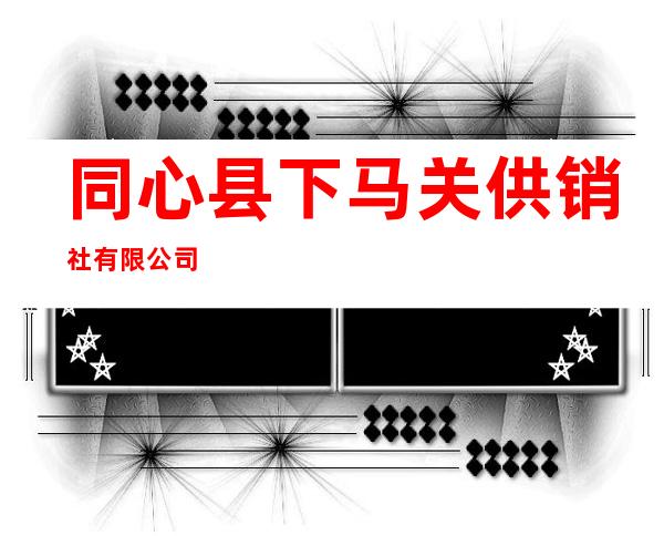 同心县下马关供销社有限公司