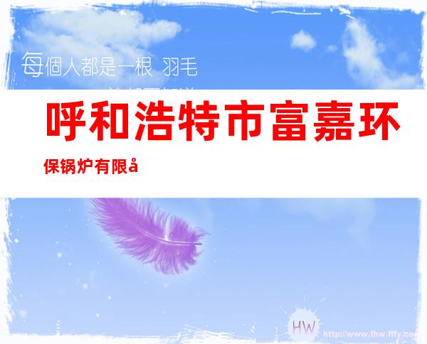 呼和浩特市富嘉环保锅炉有限公司