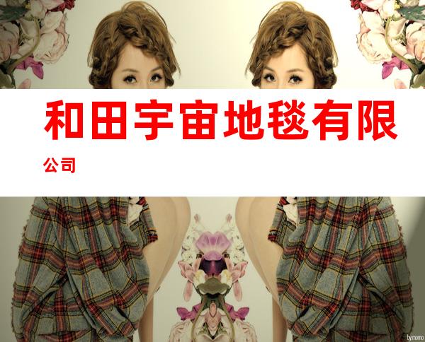 和田宇宙地毯有限公司