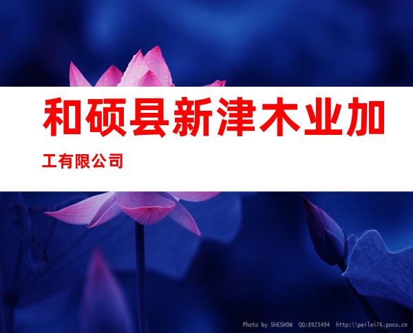 和硕县新津木业加工有限公司