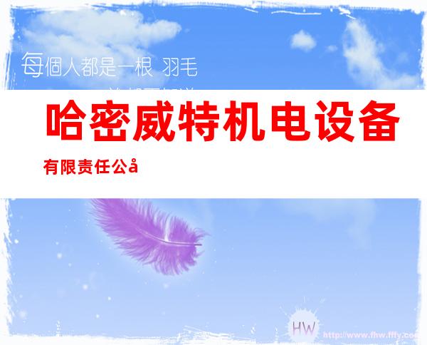 哈密威特机电设备有限责任公司