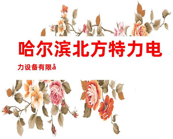 哈尔滨北方特力电力设备有限公司
