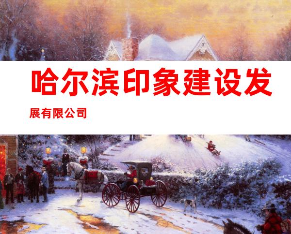 哈尔滨印象建设发展有限公司