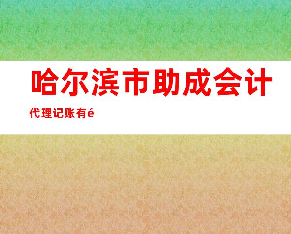 哈尔滨市助成会计代理记账有限公司