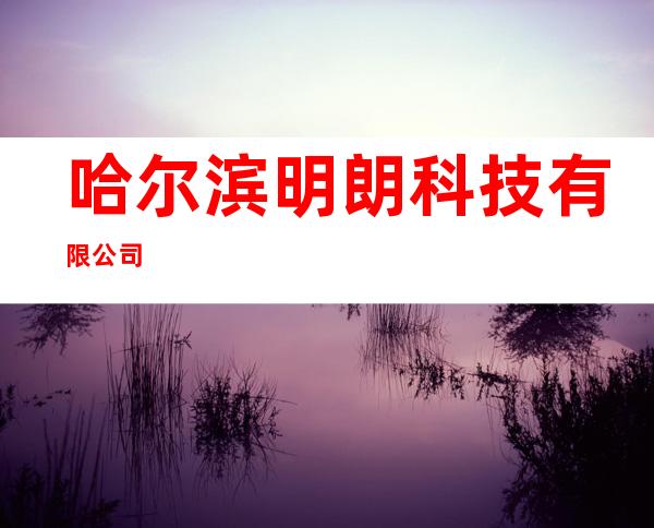 哈尔滨明朗科技有限公司