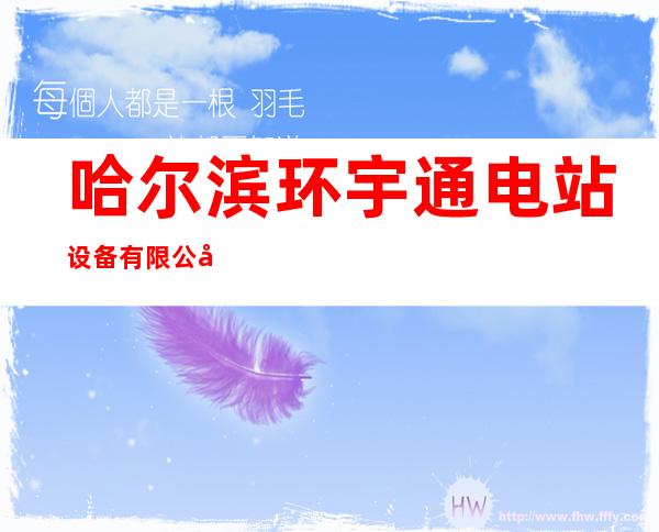 哈尔滨环宇通电站设备有限公司