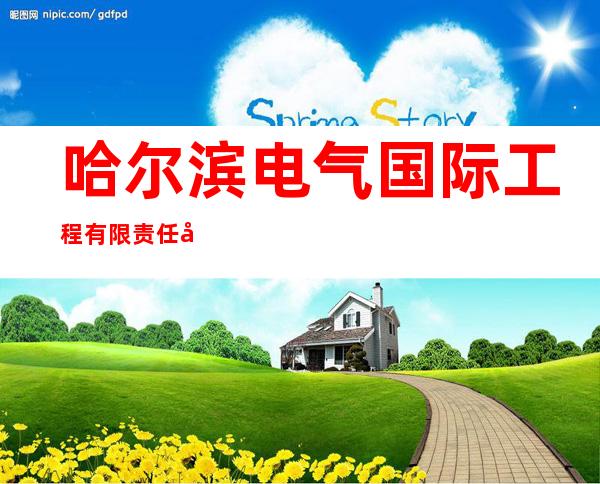 哈尔滨电气国际工程有限责任公司
