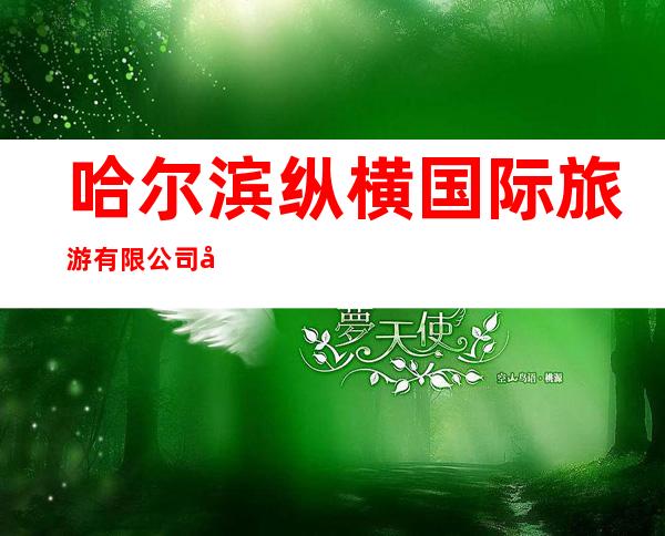 哈尔滨纵横国际旅游有限公司创展门市部