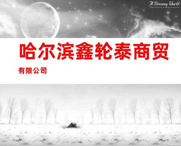 哈尔滨鑫轮泰商贸有限公司