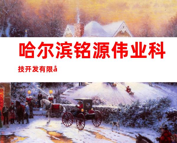 哈尔滨铭源伟业科技开发有限公司