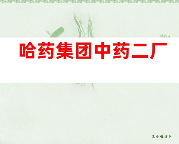 哈药集团中药二厂
