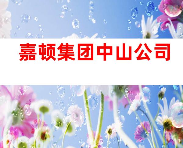 嘉顿集团中山公司