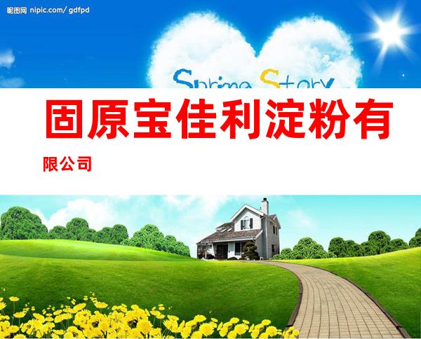 固原宝佳利淀粉有限公司