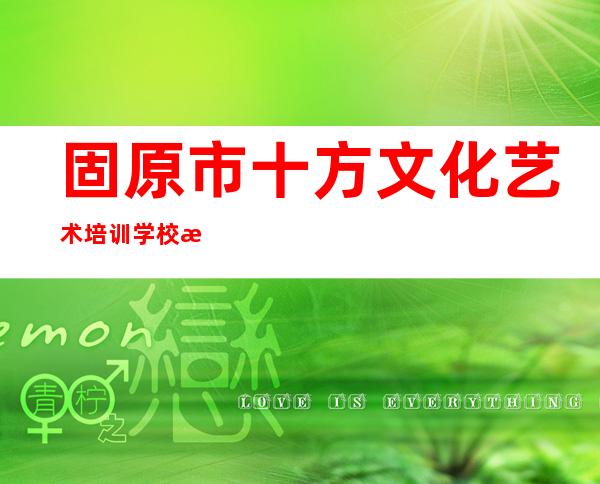 固原市十方文化艺术培训学校有限公司