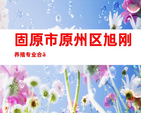 固原市原州区旭刚养殖专业合作社