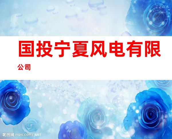国投宁夏风电有限公司