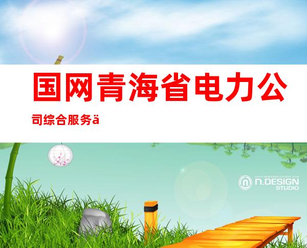 国网青海省电力公司综合服务中心