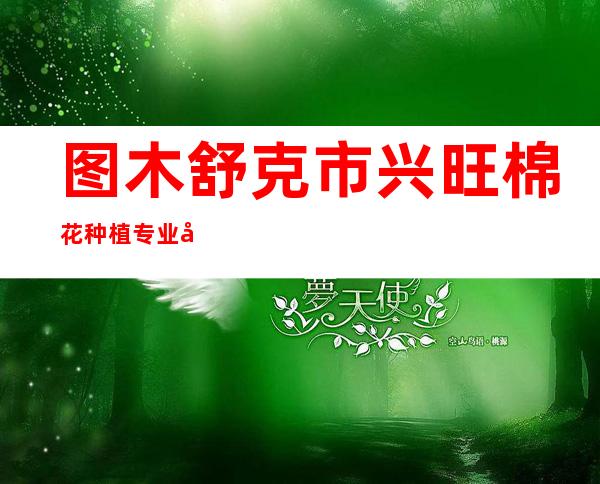 图木舒克市兴旺棉花种植专业合作社