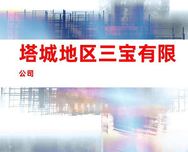 塔城地区三宝有限公司