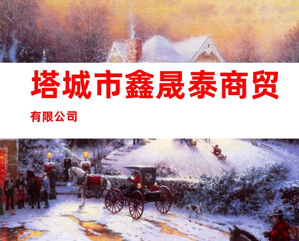 塔城市鑫晟泰商贸有限公司