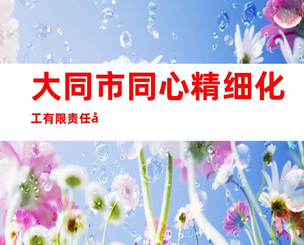 大同市同心精细化工有限责任公司