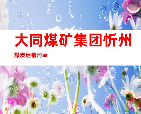大同煤矿集团忻州煤炭运销河曲有限公司