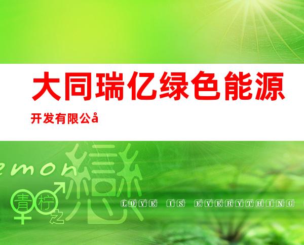 大同瑞亿绿色能源开发有限公司