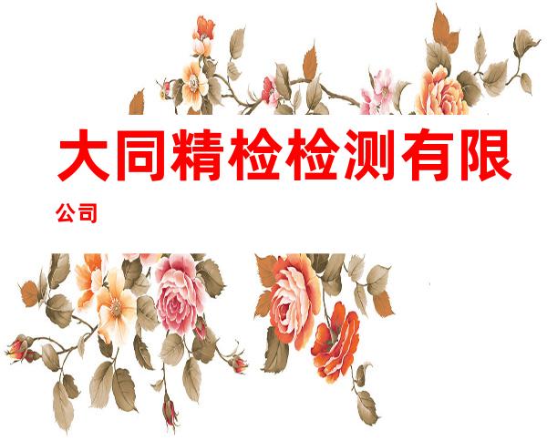 大同精检检测有限公司