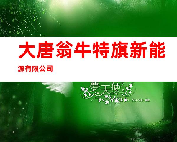 大唐翁牛特旗新能源有限公司