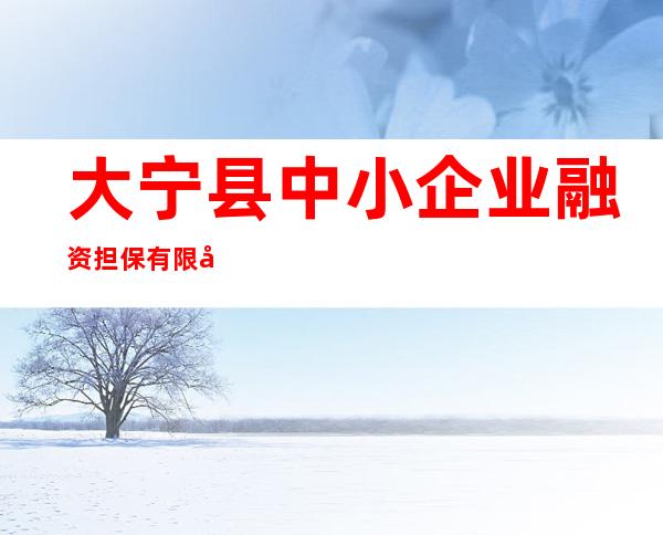 大宁县中小企业融资担保有限公司