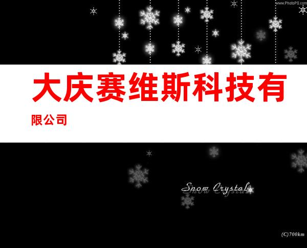 大庆赛维斯科技有限公司