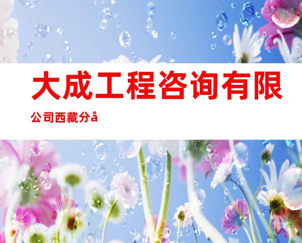 大成工程咨询有限公司西藏分公司
