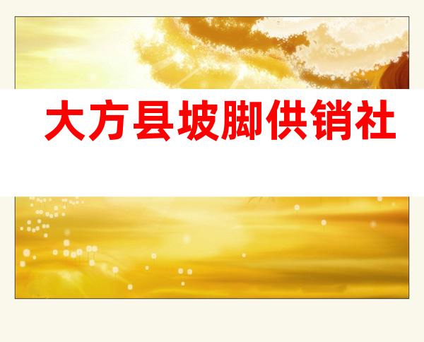 大方县坡脚供销社