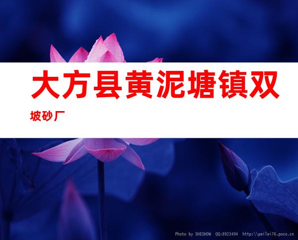 大方县黄泥塘镇双坡砂厂