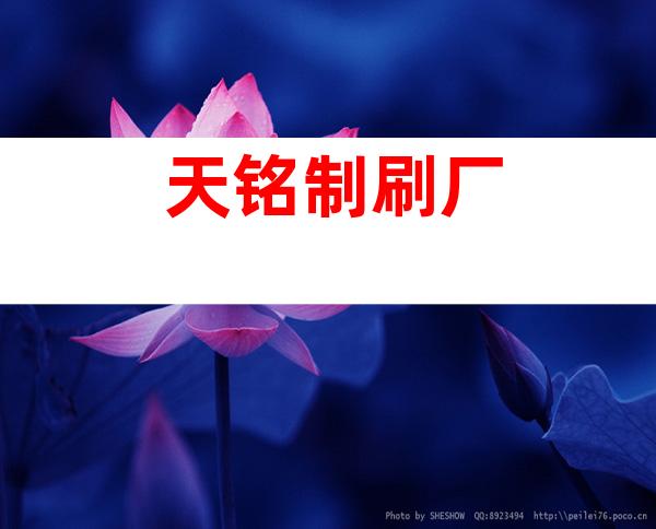 天铭制刷厂