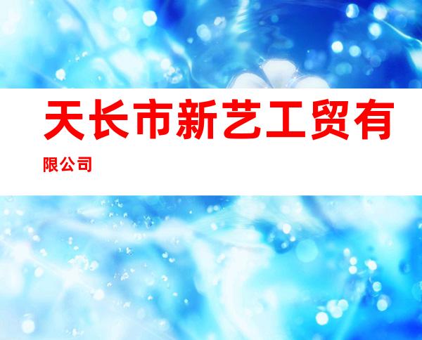 天长市新艺工贸有限公司