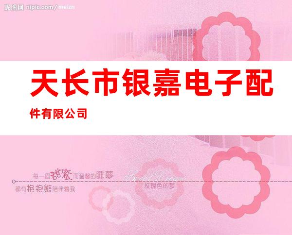天长市银嘉电子配件有限公司