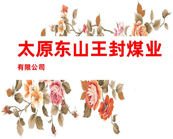 太原东山王封煤业有限公司