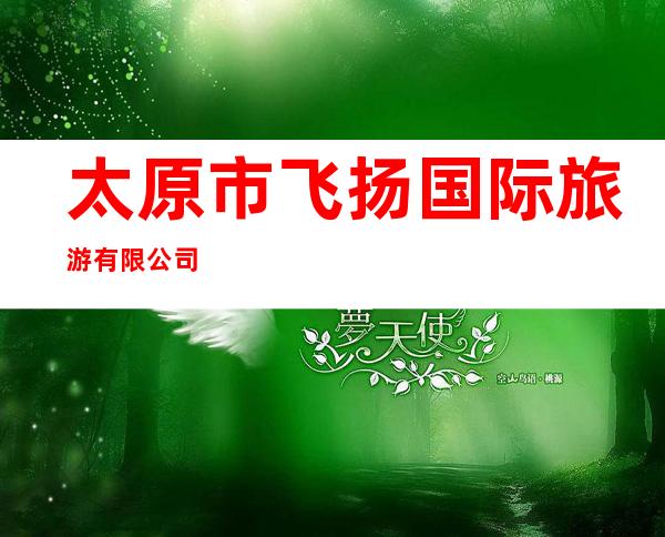 太原市飞扬国际旅游有限公司