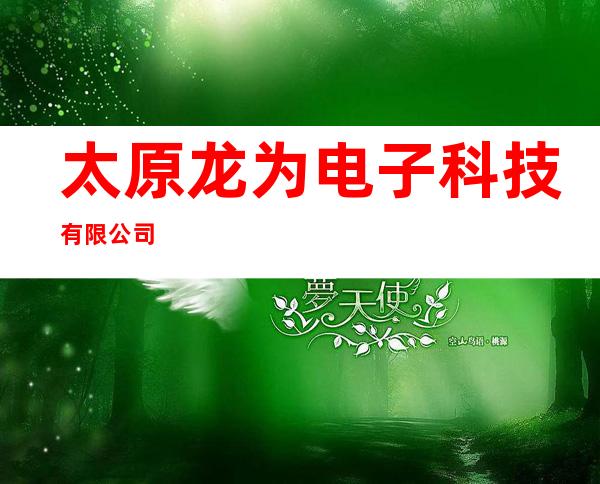 太原龙为电子科技有限公司