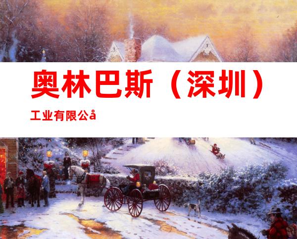 奥林巴斯(深圳)工业有限公司