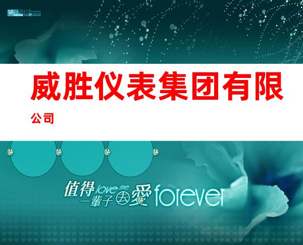 威胜仪表集团有限公司
