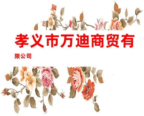 孝义市万迪商贸有限公司