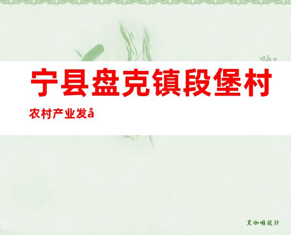 宁县盘克镇段堡村农村产业发展资金专业合作社